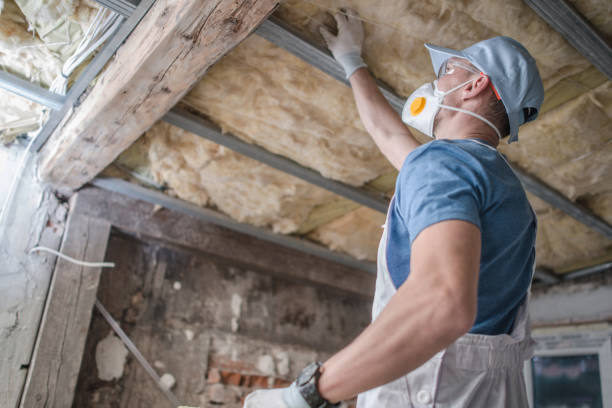 Best Geographic-Specific Insulation Services in Byrdstown, TN